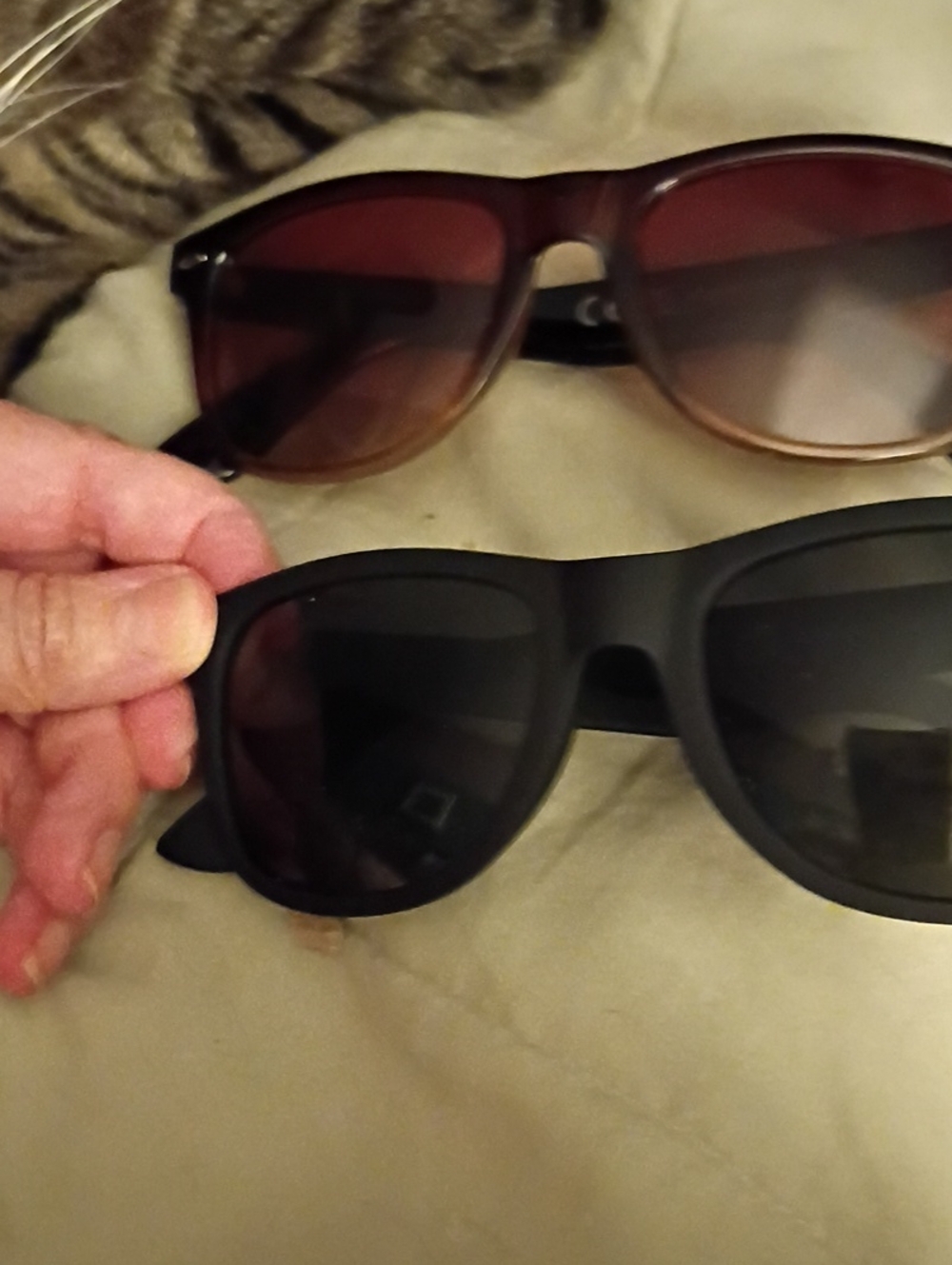 Unisex Matte Black And Tortise Shell Polarized Sunglasses